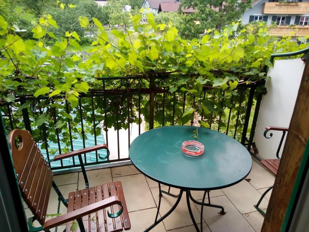 Torrenerhof Hotel Голинг ан дер Залцах Екстериор снимка